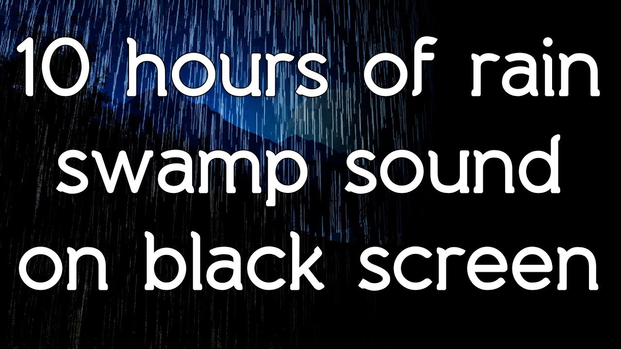 🎧 ☁ Rain on swamp sound rain sound black screen high quality white noise ASMR sounds of nature
