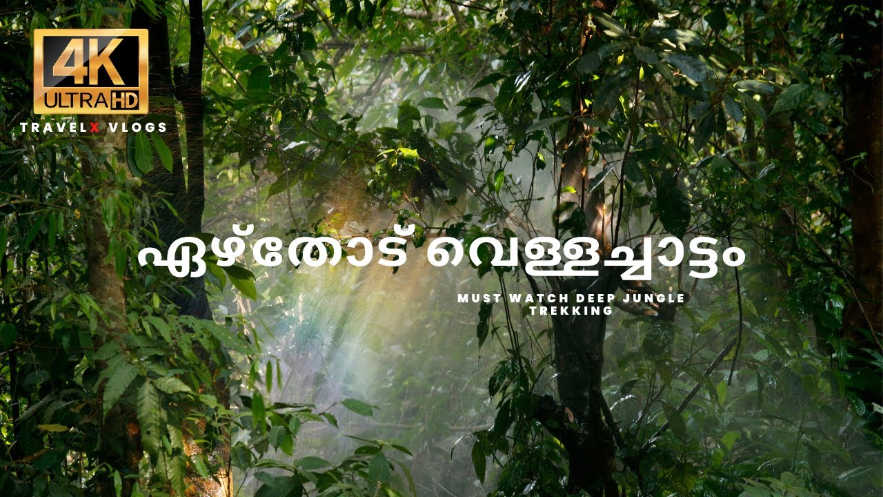 Hidden gem of agasthyarkoodam | ഞങ്ങൾ അഗസ്ത്യർകൂടത്തിലെ അത്ഭുതം തേടി.. 