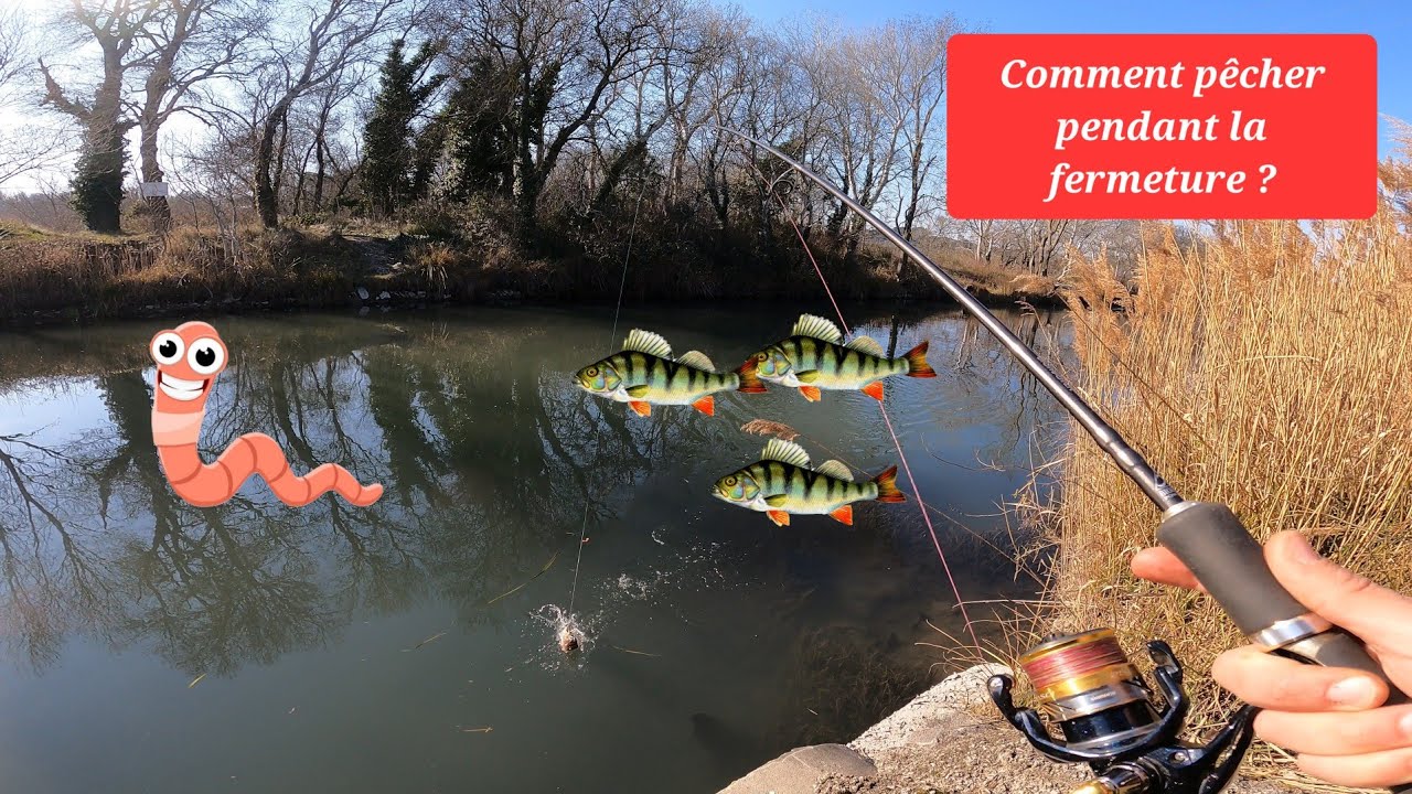 Comment P&ecirc;cher pendant la fermeture ? Drop Shot au ver