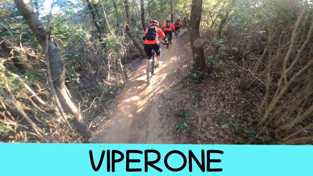 MTB Piombino 30.11.2024 sentiero VIPERONE