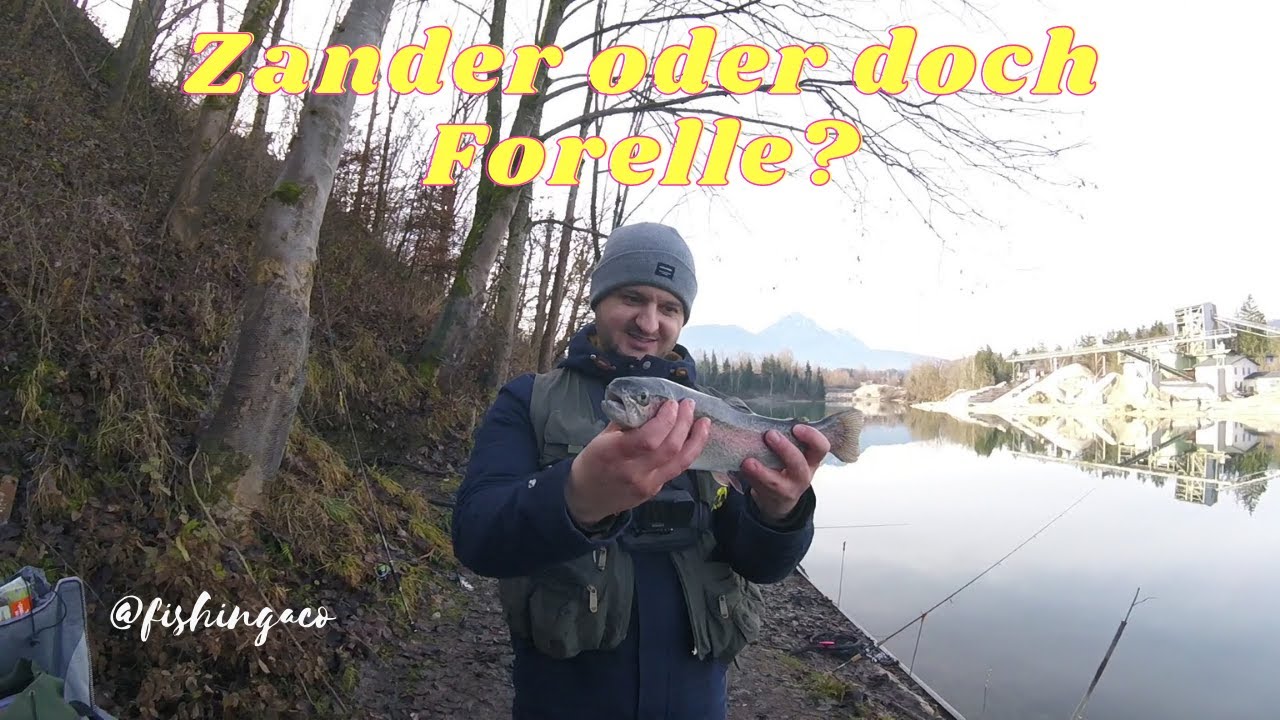 Zielfisch Zander - Ausfang Forelle? Fischen in Salzburg!