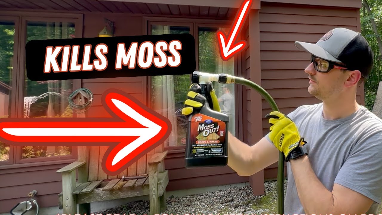 Moss Removal | 