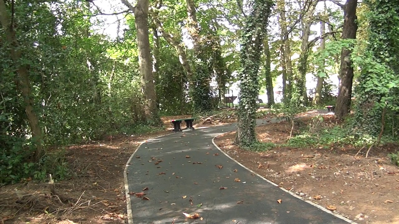 np15 NEWMAN PATHWAY