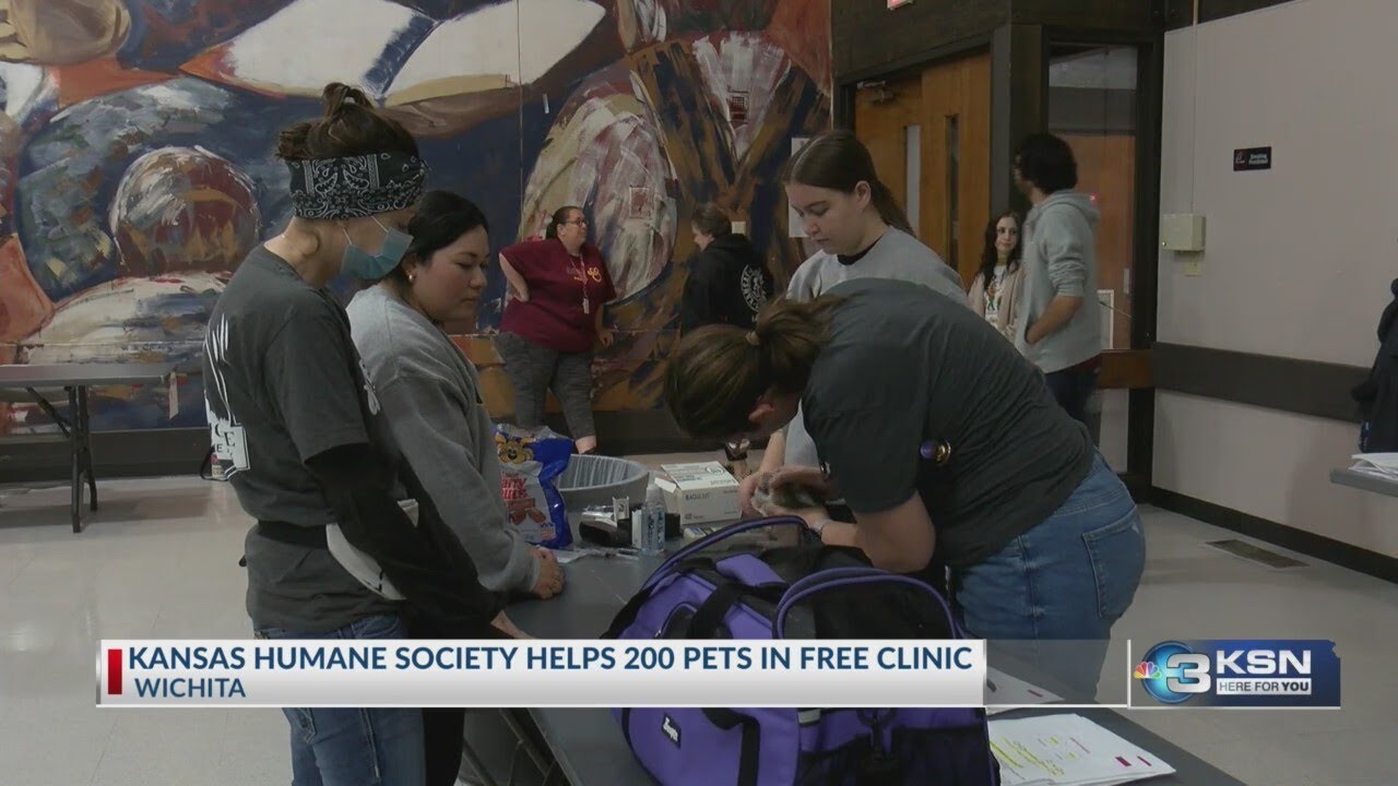 Free vaccine and microchip clinic helps 200 pets