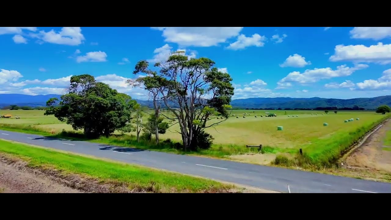 Cane Fields Jan 26