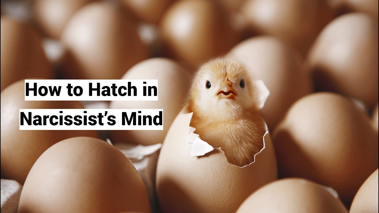 How to Hatch in Narcissist’s Mind: Internal to External Object