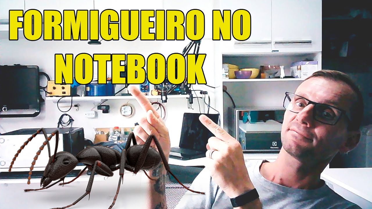 NINHO DE FORMIGAS NO NOTEBOOK
