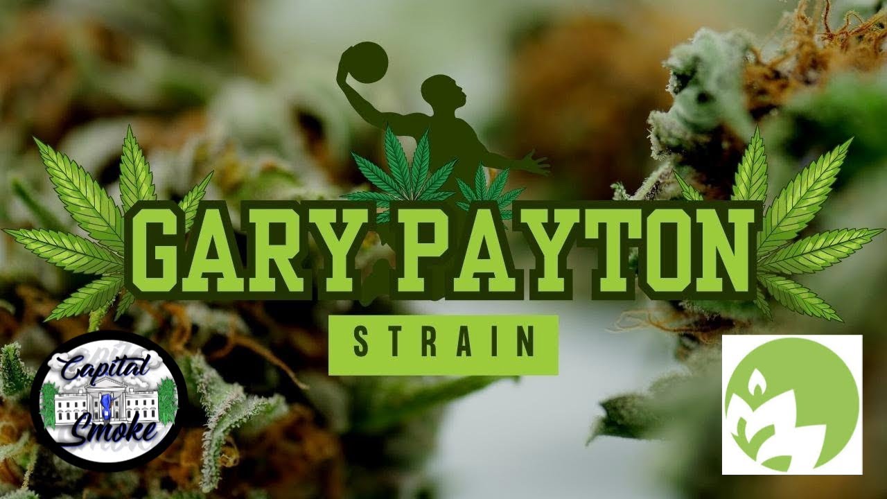 Smoking Strawberry Gary Payton from Exotic Genetics Blew My Mind: A Grow Healthy Dispensary Gem!
