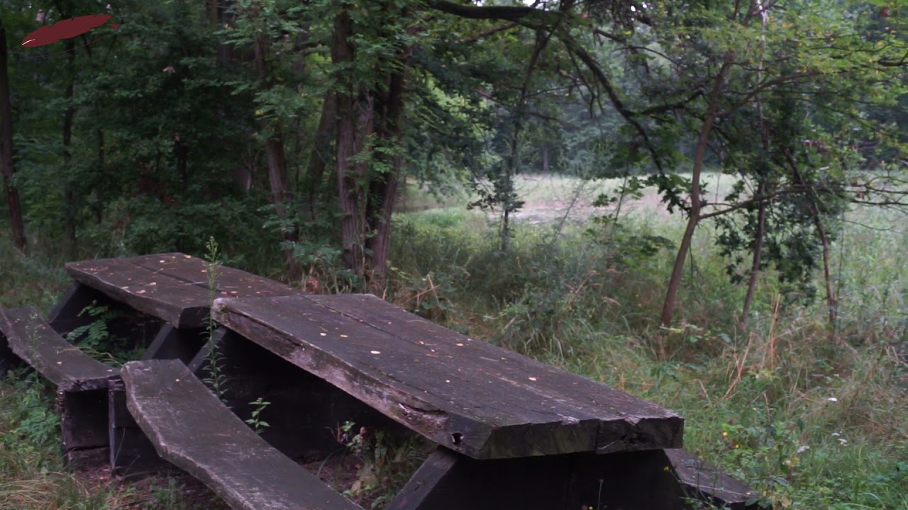 #12 Szlak Gąski  - Obszar przyrodniczy „Krampa”