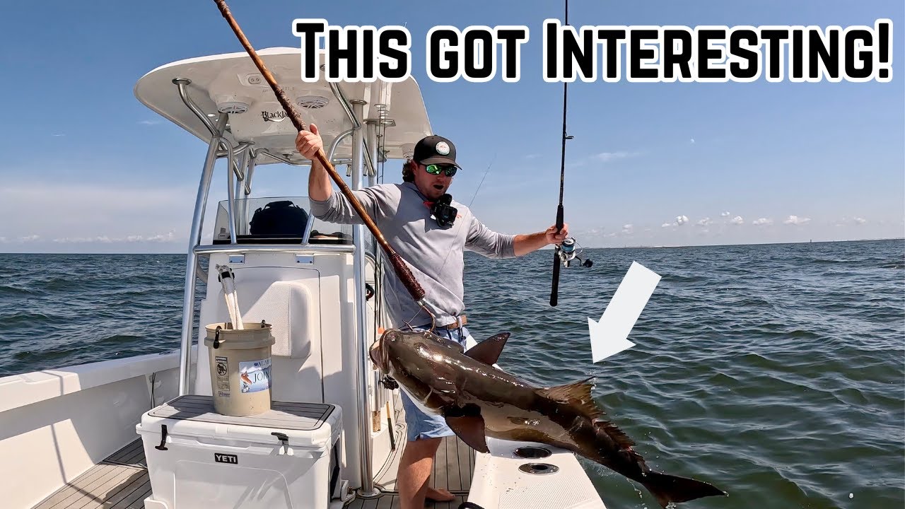 Fishing The Gulf And Barrier Islands Using LIVE Croakers! *EPIC Solo Day*