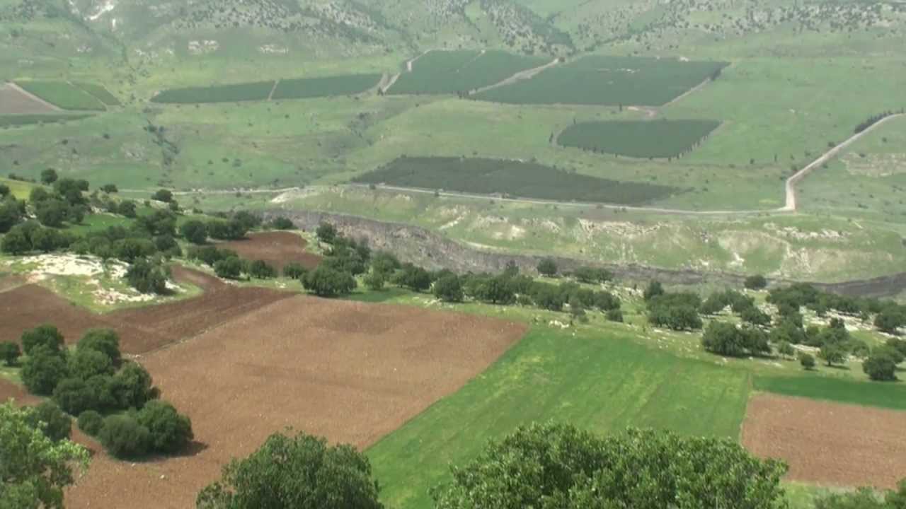 موقع معركة اليرموك