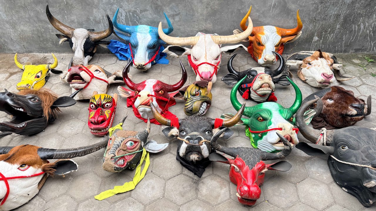 WIDIIIH SEMUA BANTENGAN SAPI MBEROT LAGI BERJEMUR TEMAN2
