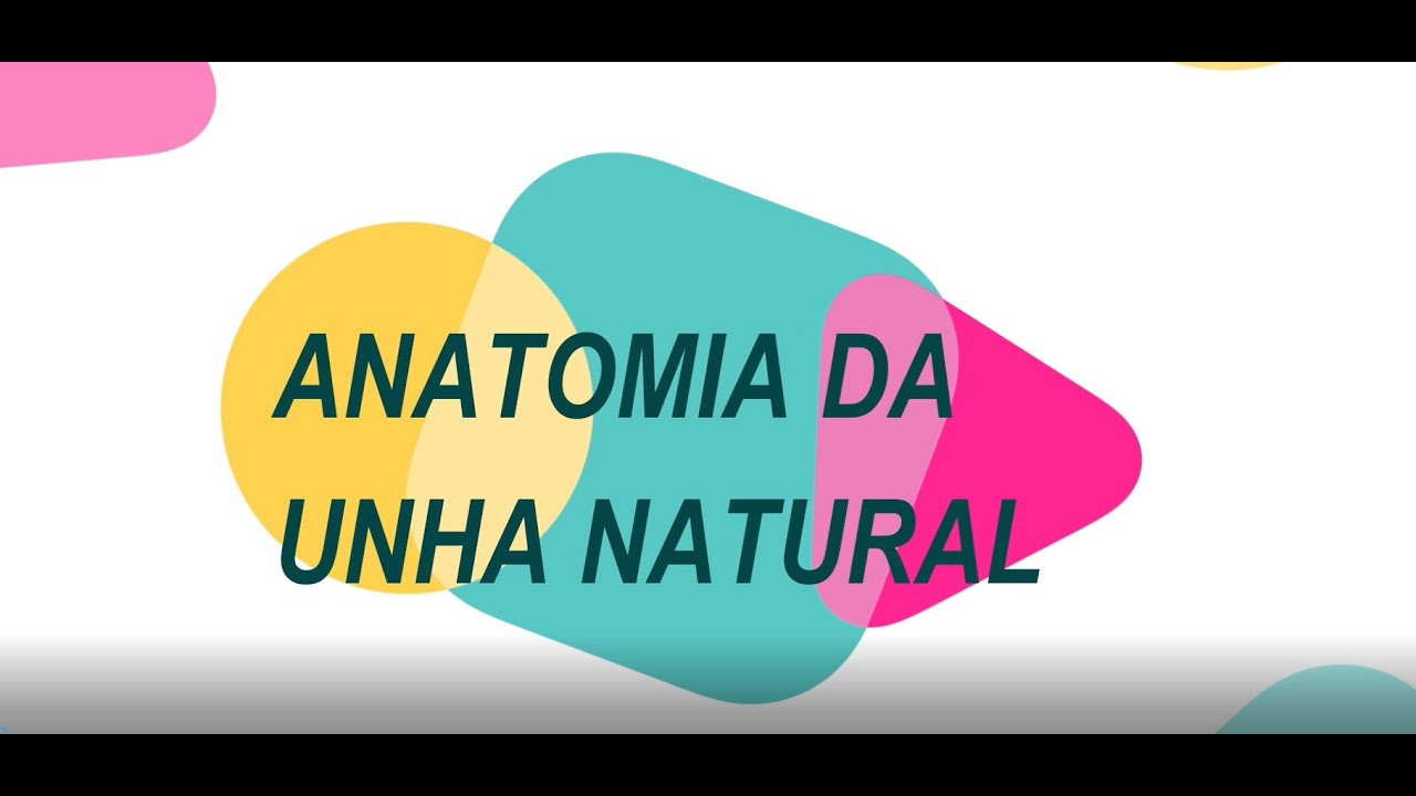 Anatomia Atualizada da Unha Natural - Segundo Artigo Oficial do Cientista Doug Schoon de Abril/19.