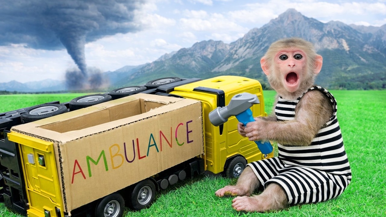 El mecánico profesional Bibi rescata el coche de policía 🚓🐒🔧
