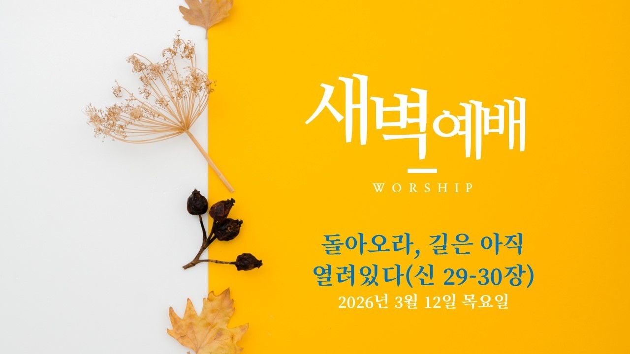 20260312 새벽 