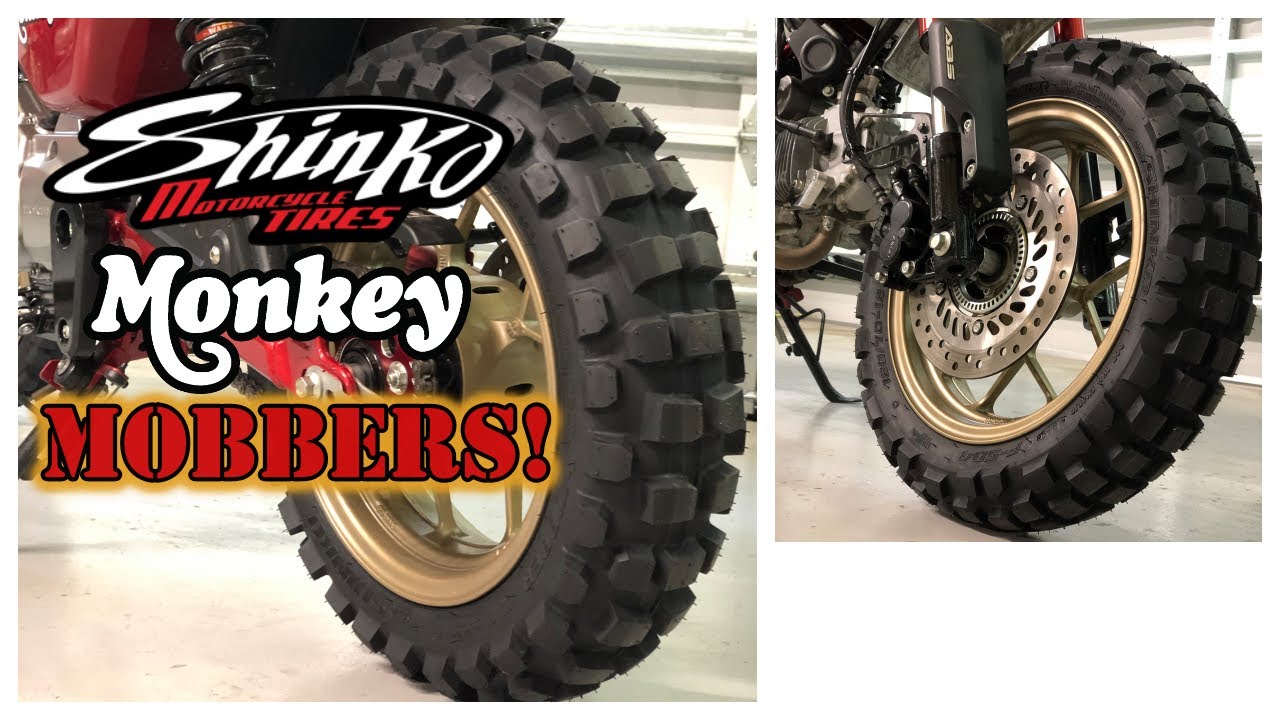 Новые шины для Honda Monkey! Обзор Shinko Mobber и первые впечатления