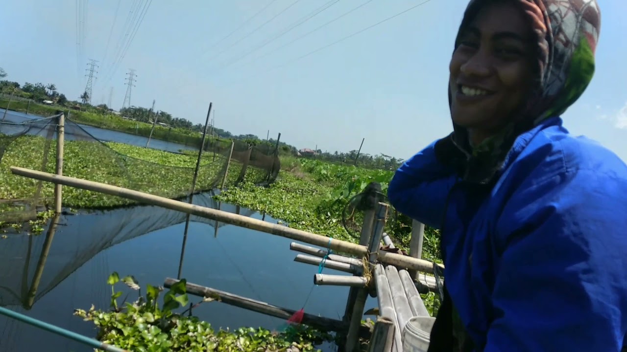 PESTA STRIKE DEVIL!!!! SHORT MOVIE RAWA BENDUNGAN CILACAP