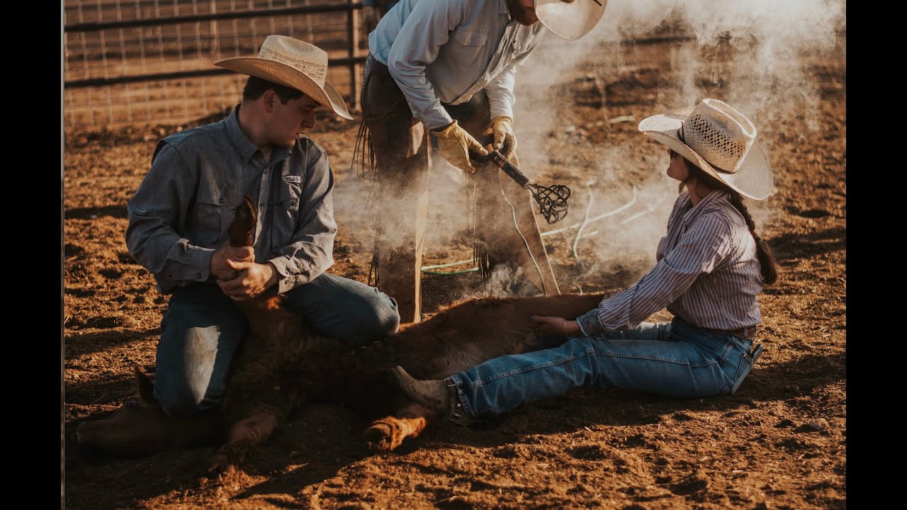 Texas Ranch Life: Branding Calves at the Legendary R.A. Brown Ranch