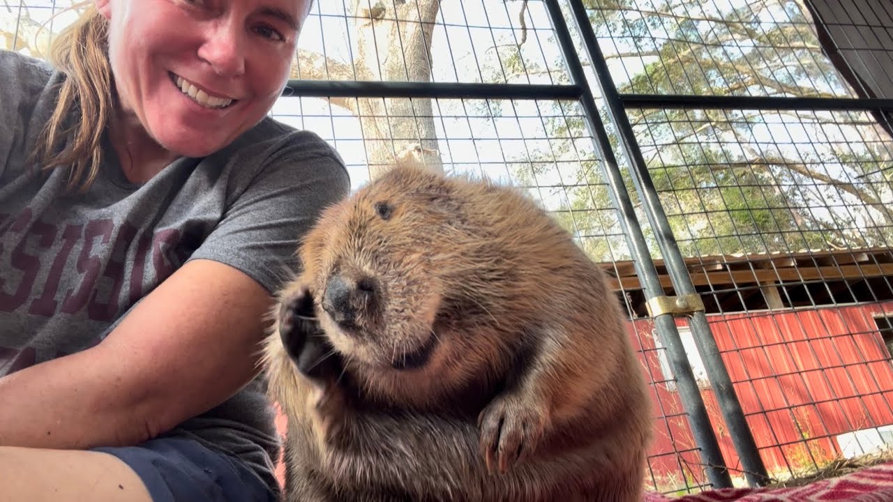 Sharing some exciting news with Tulip!