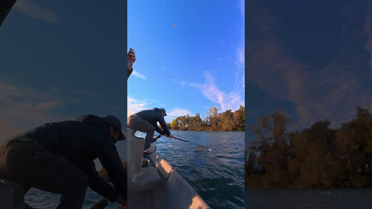 That catch and release though 