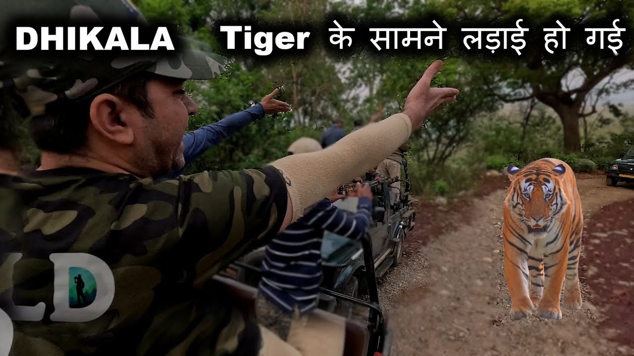 Dhikala Safari | Tiger के सामने लड़ाई हो गई