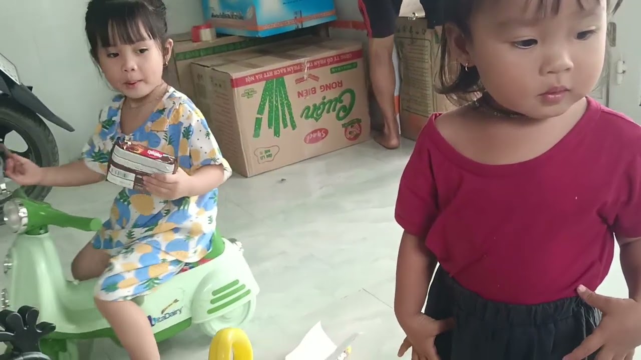 Bửa, nai mèo đi ra nhà bao chơi vui quá xá luôn 