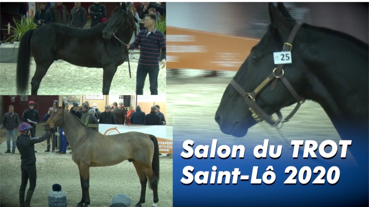 Présentation des ÉTALONS, Saint-Lô 2020