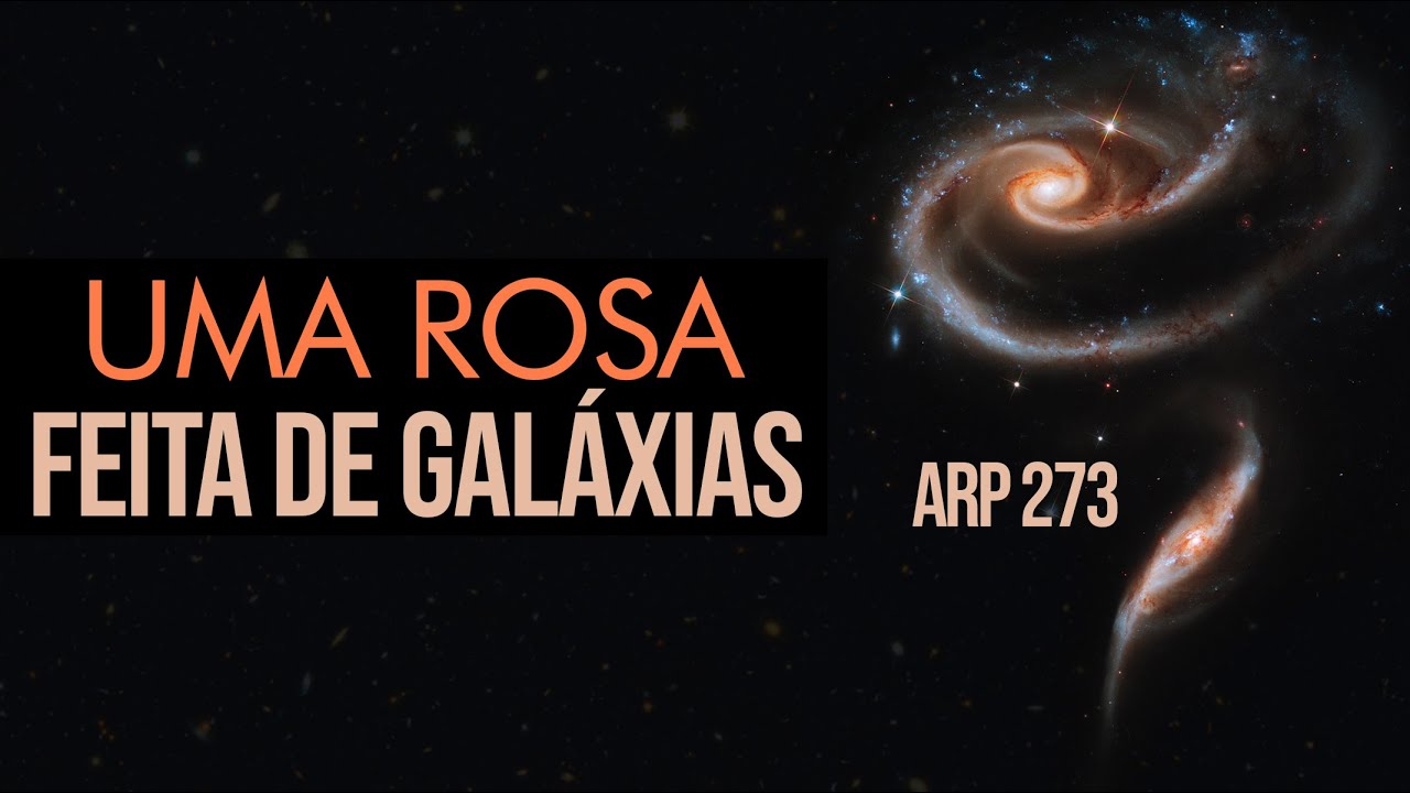 Uma Rosa feita de Galáxias - Arp 273