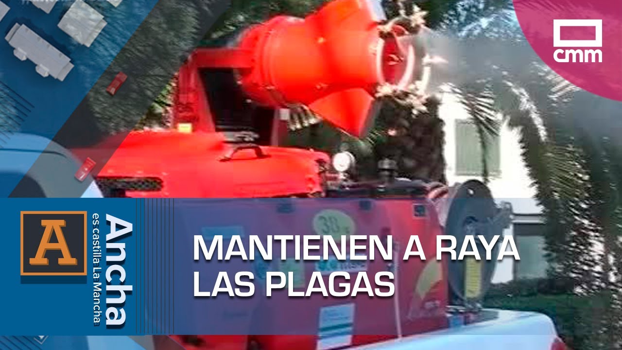 Mantienen a raya las plagas incómodas | Ancha es Castilla-La Mancha