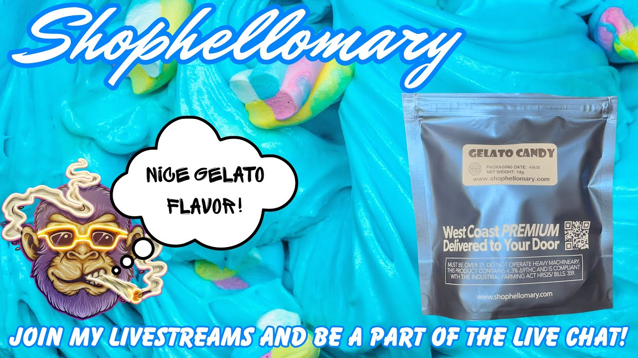 SHOPHELLOMARY FLOWER REVIEW: Gelato Candy (🍨🍬🔥) Use Code &ldquo;SPACECITY&rdquo;