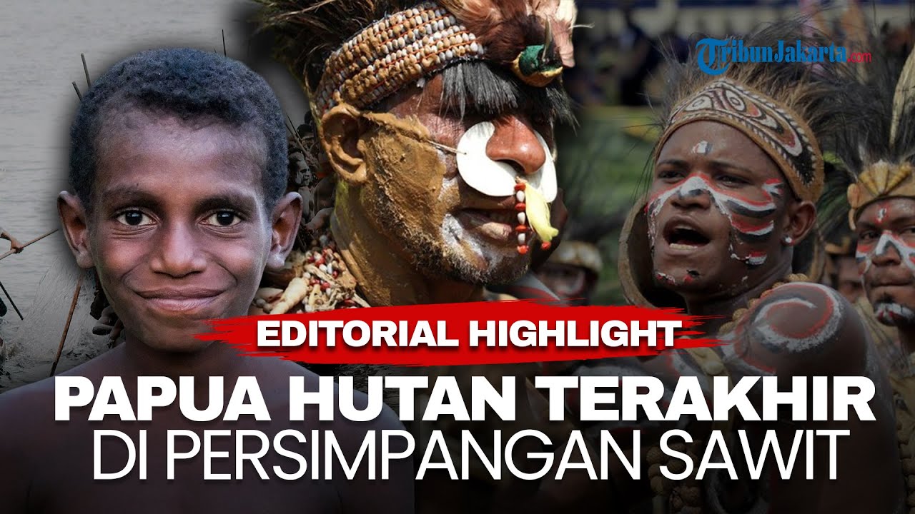 EDITORIAL HIGHLIGHT | Papua, Sawit, dan Pembangunan yang Mengulang Luka Lama