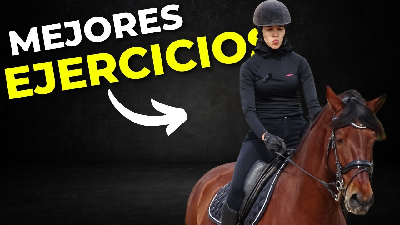 LOS *MEJORES EJERCICIOS PARA APRENDER DE DOMA CLÁSICA PARA CABALLOS* 🏇