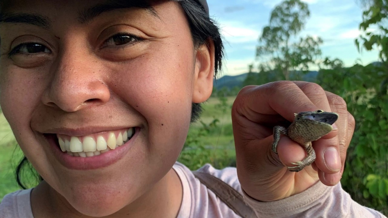 OKC Zoo @ Two: A Day in the Life of a Herpetologist