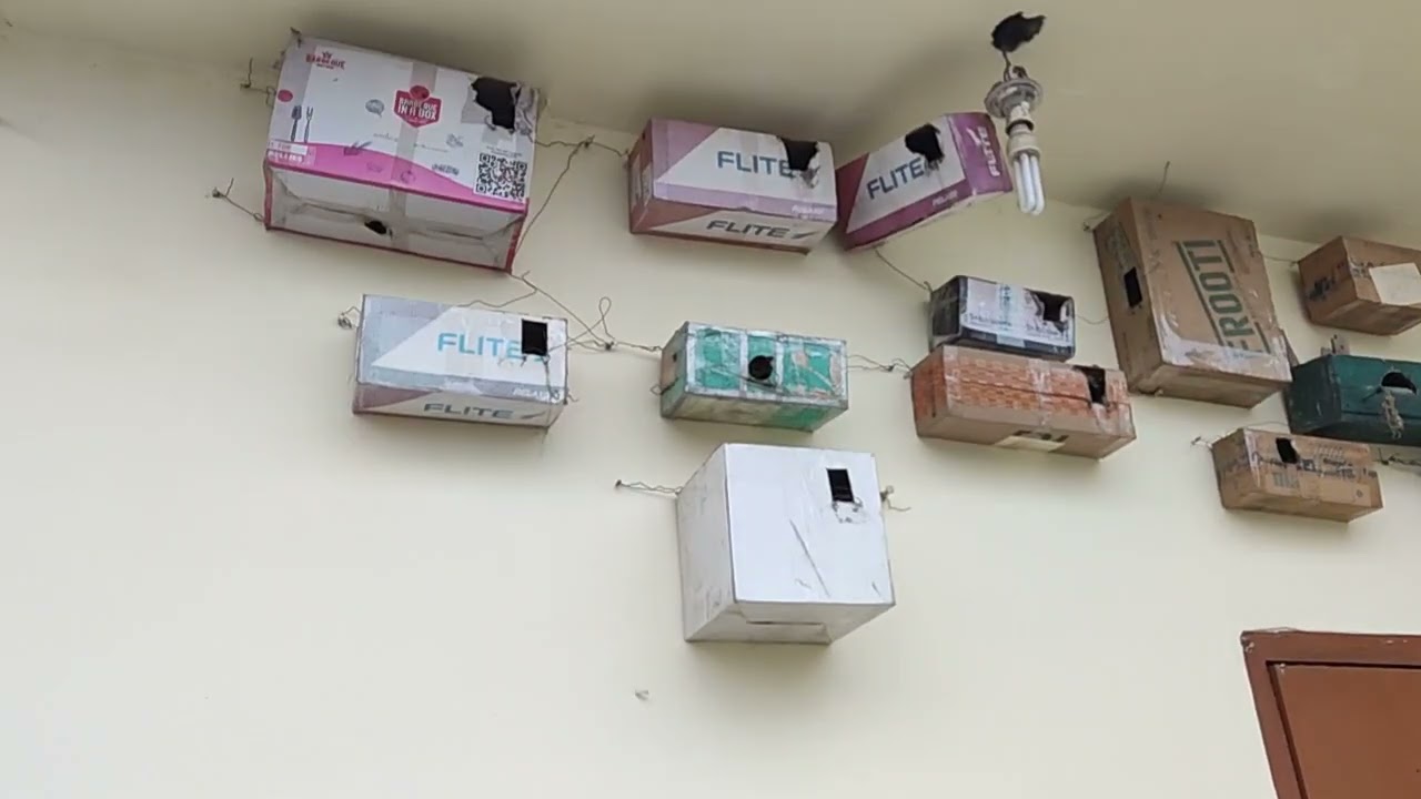घर में गौरैया के घोंसले