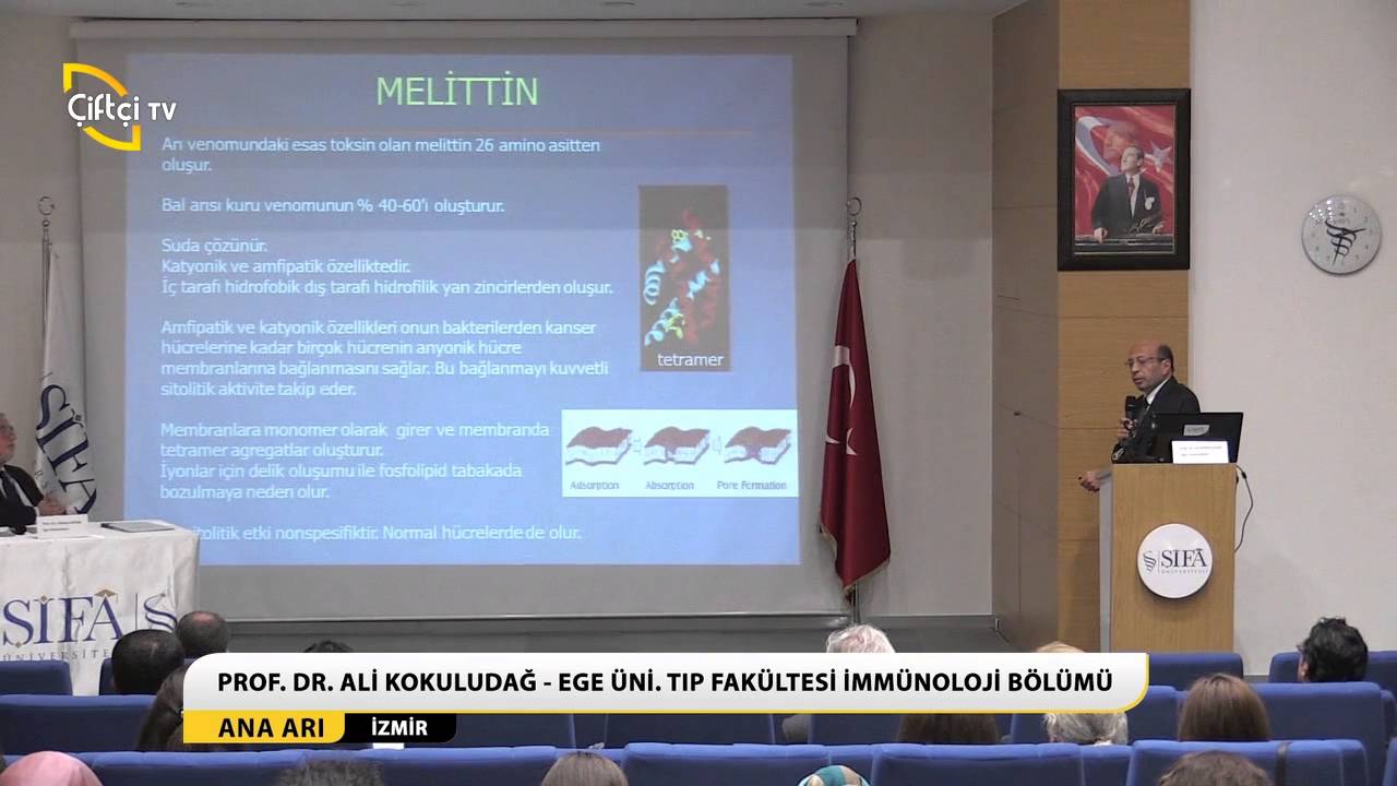 ANA ARI - APİTERAPİ ARI ÜRÜNLERİ VE SAĞLIK SEMPOZYUMU