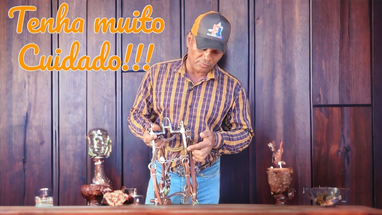 N&Atilde;O COLOQUE FREIO NO SEU CAVALO  ANTES DE VER ESSE V&Iacute;DEO.