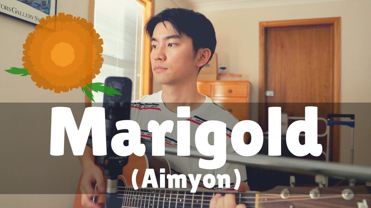 Marigold (Aimyon) Cover
