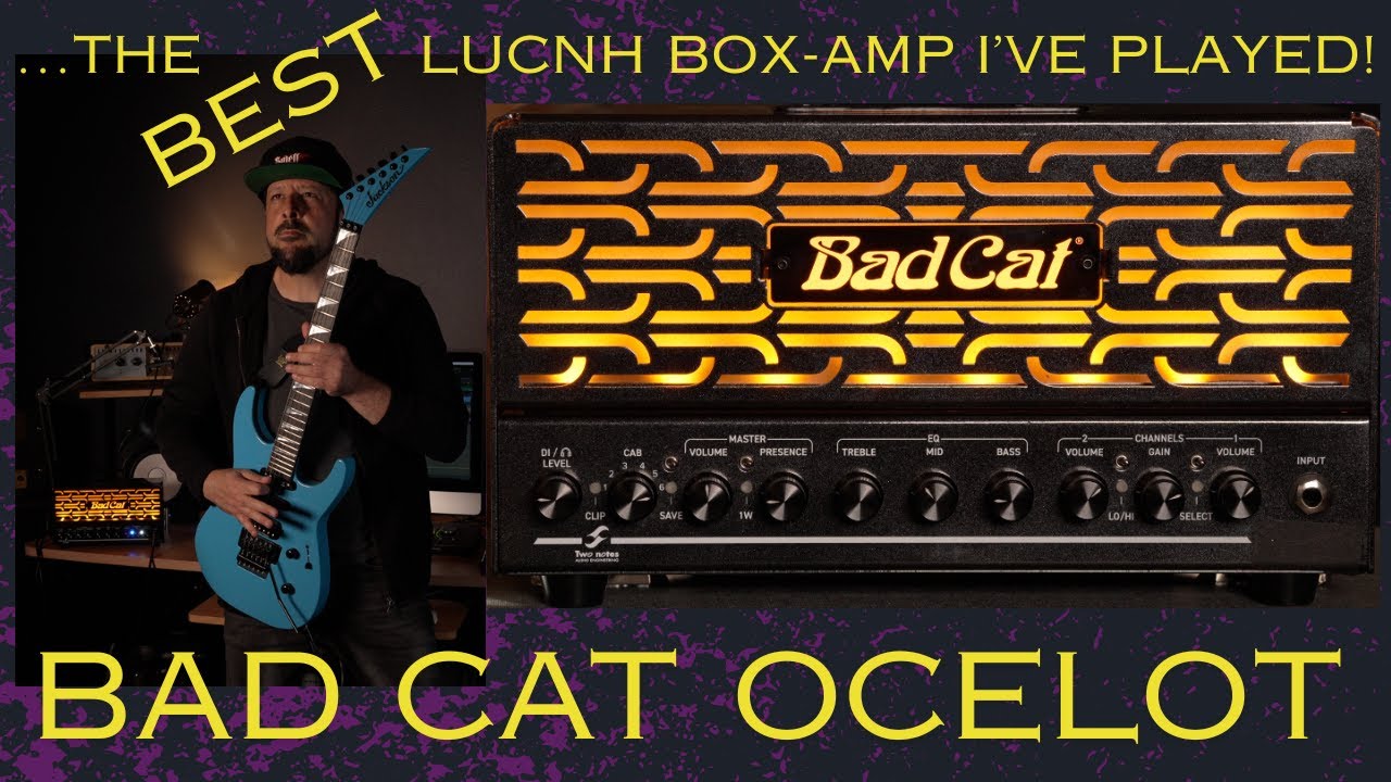 BAD CAT Amplification 