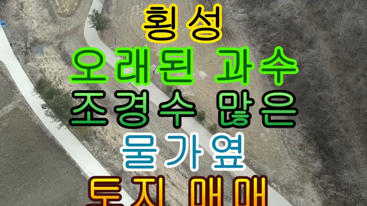강원도 횡성 토지 매매 맑은 물가 옆 오래된 과수 조경수 많음 992평 1억5천만