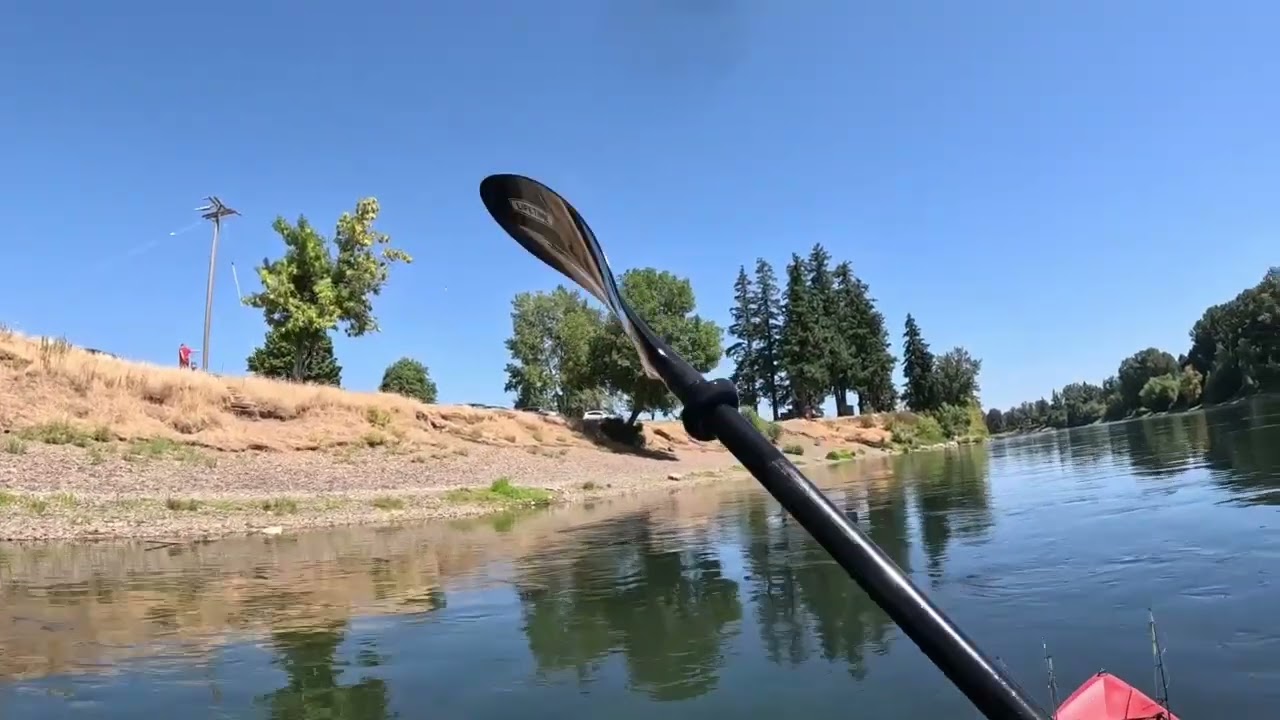 Willamette River  Fishing  Independence to Eola