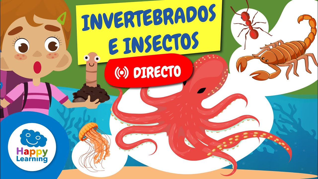 🔴DIRECTO | 🐌🦋 ¡Animales Invertebrados e Insectos para Niños! | @HappyLearningES