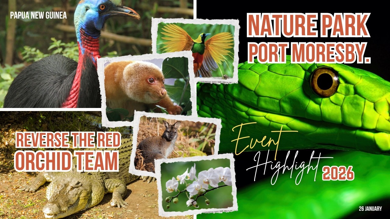 Nature Park_Reverse The Red Event Highlight_Orchid Team2026