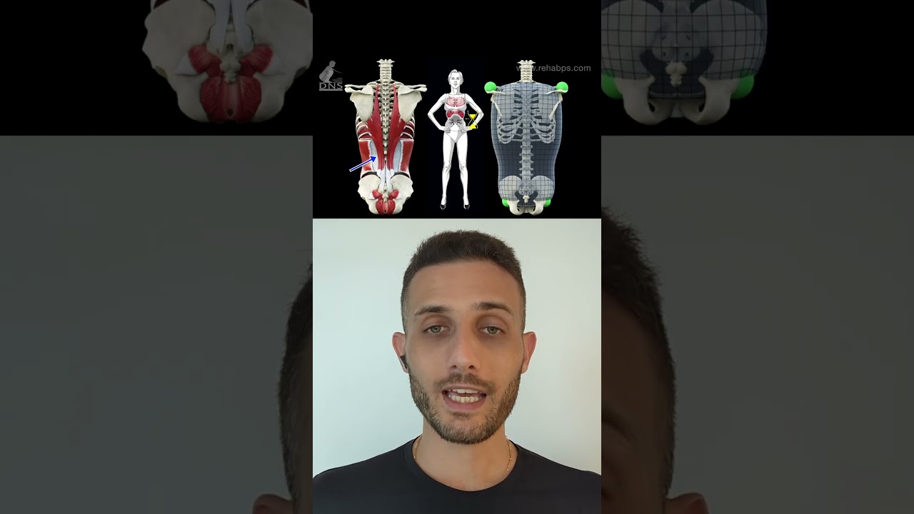 N&atilde;o puxe a barriga para dentro #fisioterapia #dorlombar #core #abdominais #lowpressure #dns