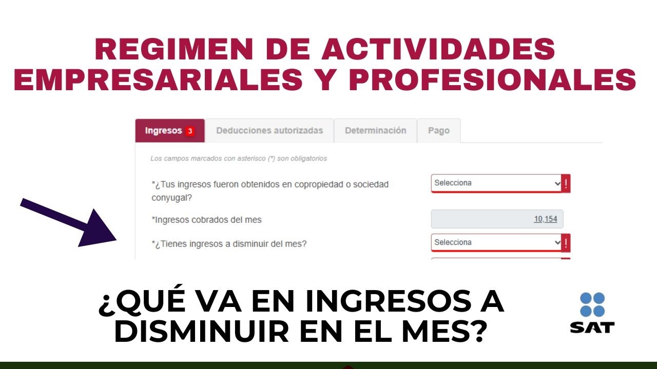 ¿Qué poner en ingresos a disminuir en el mes? ACTIVIDAD EMPRESARIAL y PROFESIONAL 2026