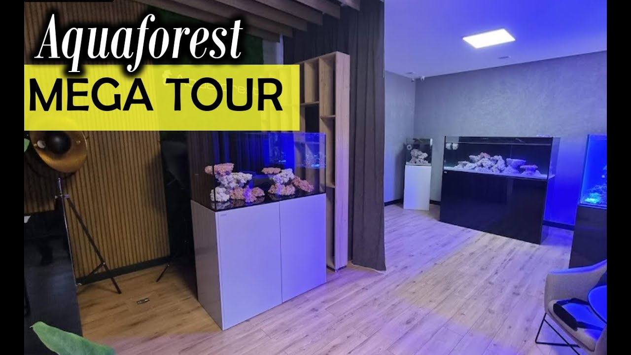 Aquaforest Poland MEGA TOUR