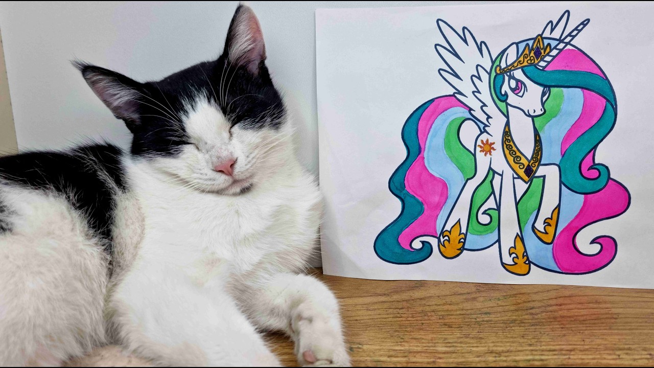 Princess Celestia Coloring 🦄🎨  My Little Pony Drawing with Cute Cat