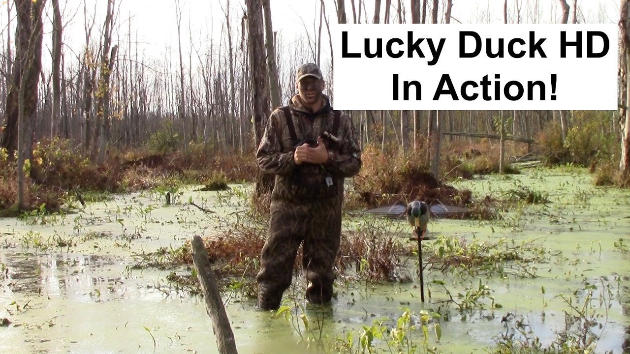 Распаковка и обзор Lucky Duck Lucky HD