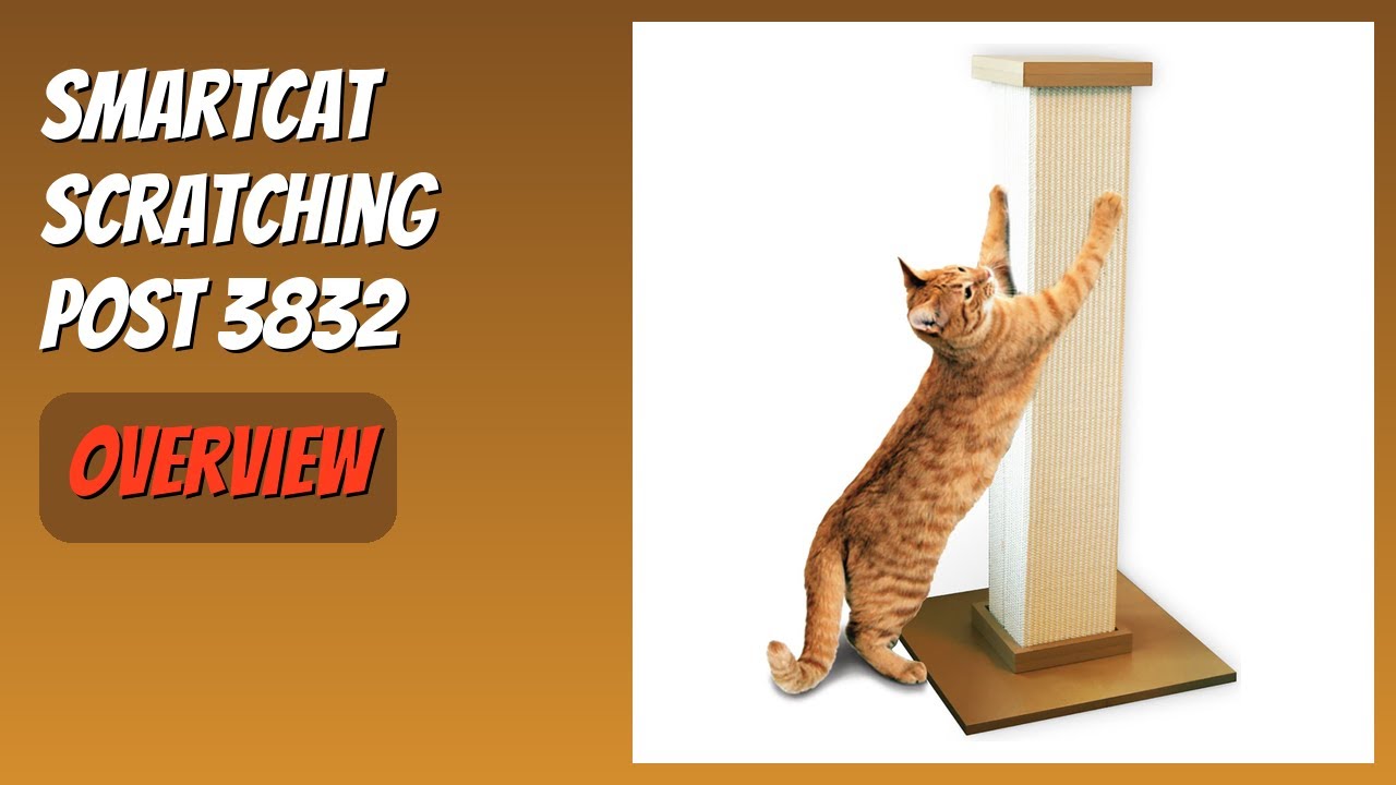 REVIEW (2026): SmartCat Scratching Post 3832. Features