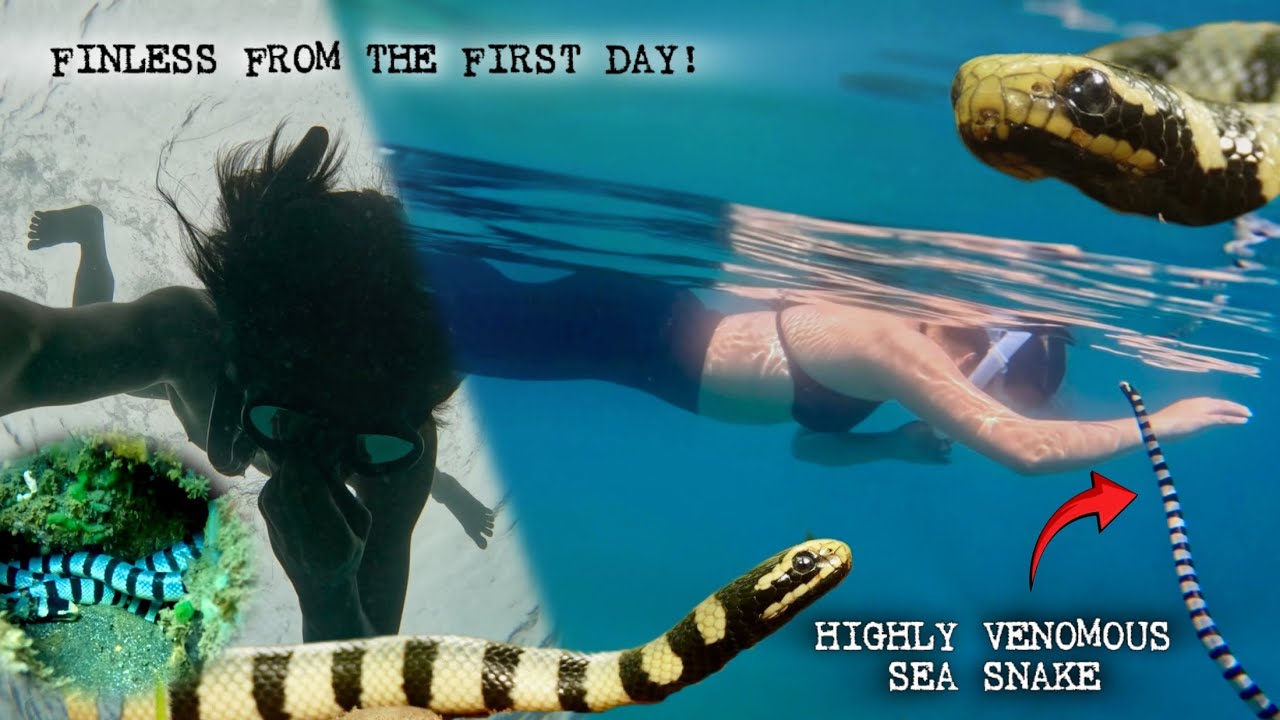NAGHABULAN KAMI SA DAGAT | FREEDIVING | COBRA TEAM DAVAO