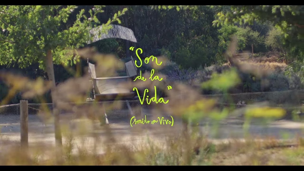 Pascuala Ilabaca Y Fauna - Son de la Vida (Vídeo Oficial)